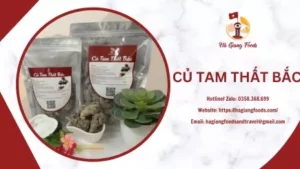 CỦ TAM THẤT BẮC