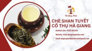 CHÈ SHAN TUYẾT CỔ THỤ HÀ GIANG
