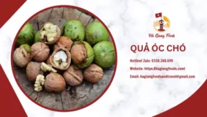 quả óc chó khô
