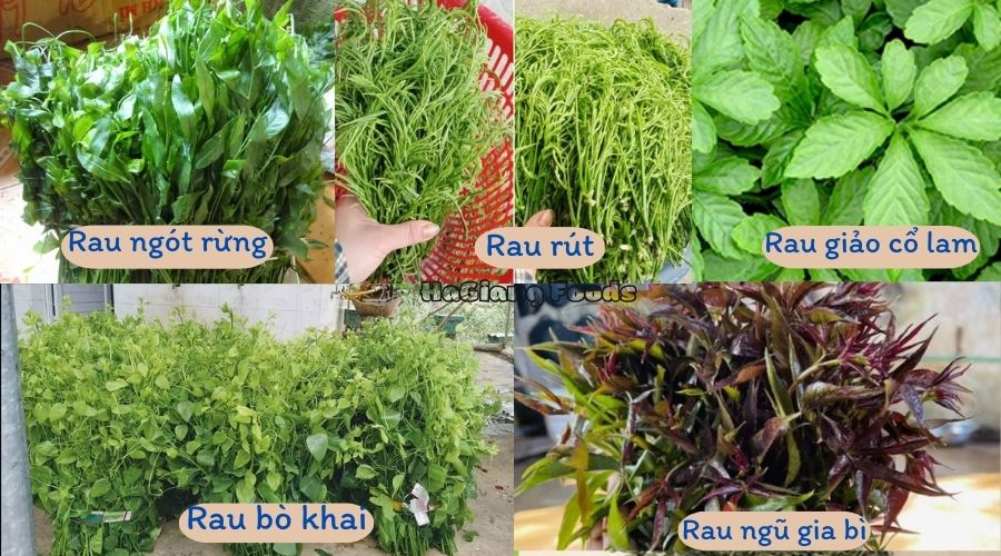 Các loại rau rừng đặc sản nổi tiếng của Hà Giang