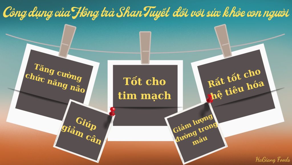 Công dụng của Hồng trà Shan Tuyết đối với sức khỏe con người 