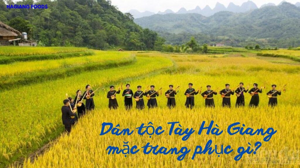 Dân tộc Tày Hà Giang mặc trang phục gì