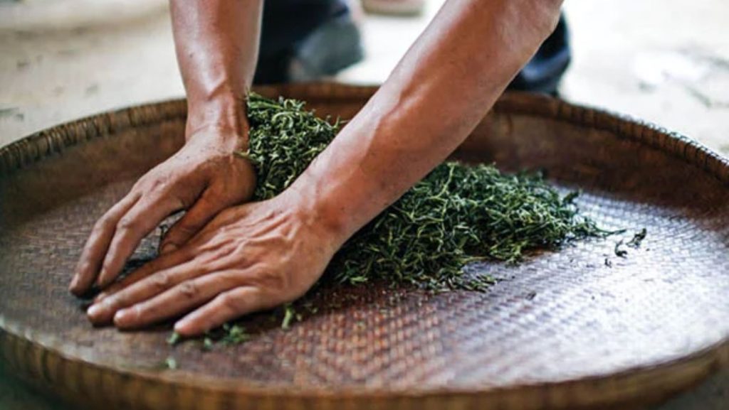 Hồng trà khô được vò bằng tay theo phương pháp truyền thống