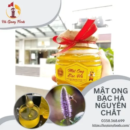 Mật ong bạc hà Hà Giang - Món quà thiên nhiên ban tặng