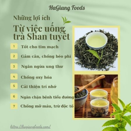 Uống trà Shan tuyết rất tốt cho sức khỏe con người