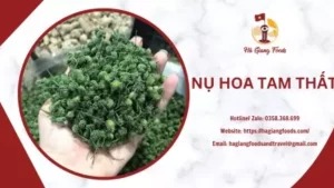 NỤ HOA TAM THẤT