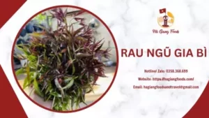 RAU NGŨ GIA BÌ