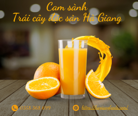 Quả cam sành - Trái cây đặc sản của Hà Giang