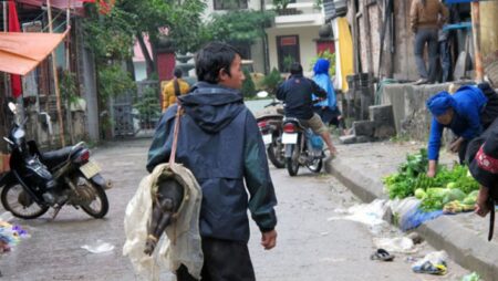 Lợn cắp nách Hà Giang - Món ăn đặc sản giữ chân du khách gần xa
