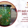 ỚT GIÓ HÀ GIANG XÓC MUỐI