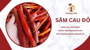 SÂM CAU ĐỎ