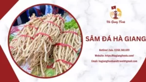 SÂM ĐÁ HÀ GIANG