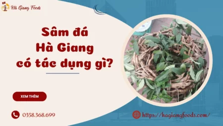 Sâm đá Hà Giang có tác dụng gì?