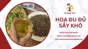 HOA ĐU ĐỦ SẤY KHÔ