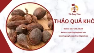 THẢO QUẢ KHÔ
