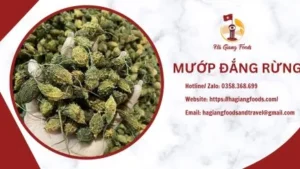 Mướp đắng rừng