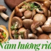 Nấm hương rừng