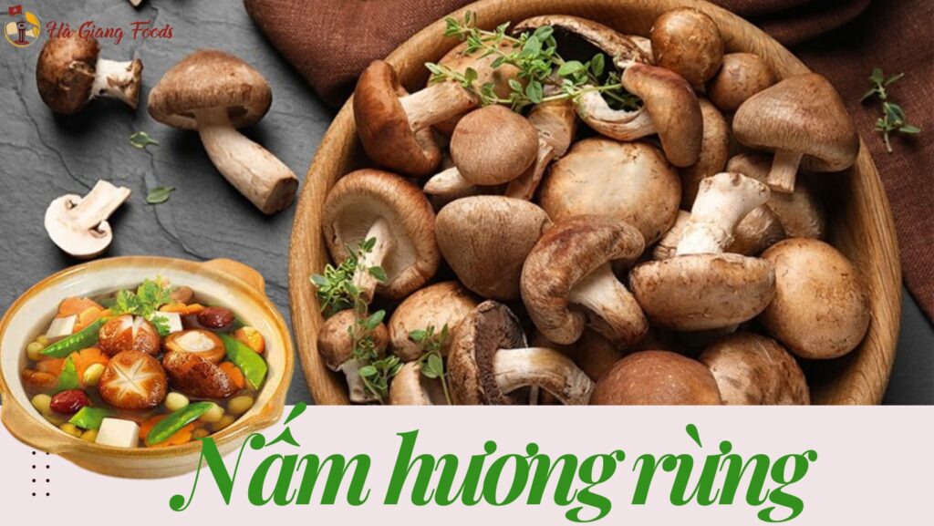 Nấm hương rừng