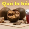 Quả la hán