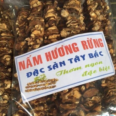 Nấm hương rừng có rất nhiều chất dinh dưỡng, những món ăn từ nấm hương rất bổ dưỡng.