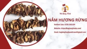 Nấm hương rừng