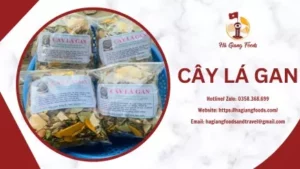 CÂY LÁ GAN