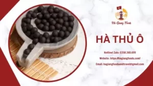 HÀ THỦ Ô