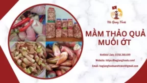 MẦM THẢO QUẢ MUỐI ỚT