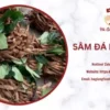 SÂM ĐÁ HÀ GIANG