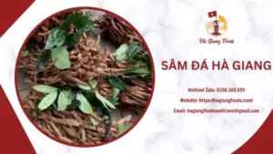 SÂM ĐÁ HÀ GIANG