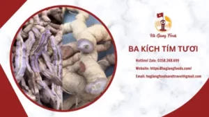Ba kích tím tươi