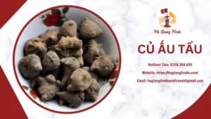 CỦ ẤU TẨU