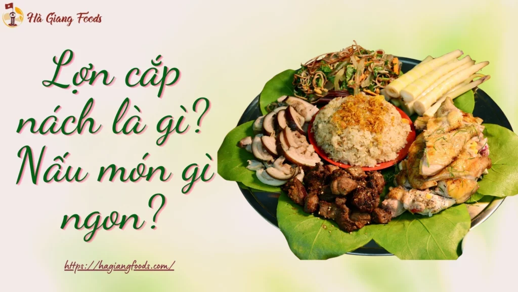 Lợn cắp nách là gì