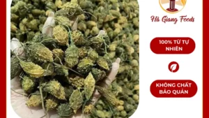 MƯỚP ĐẮNG RỪNG NGUYÊN QUẢ 1