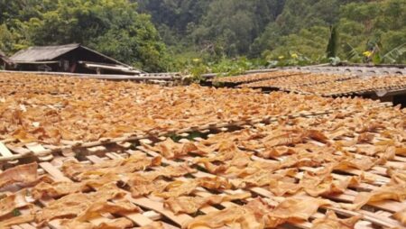 Măng khô bao nhiêu 1kg - Loại nào ăn ngon nhất