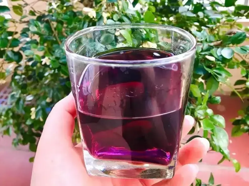 Rượu ngô tím ngâm