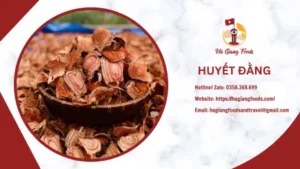 kê huyết đằng