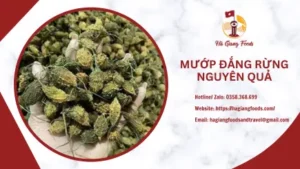 mướp đắng rừng khô nguyên quả