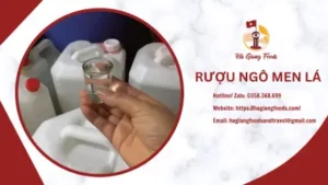 ngô men lá