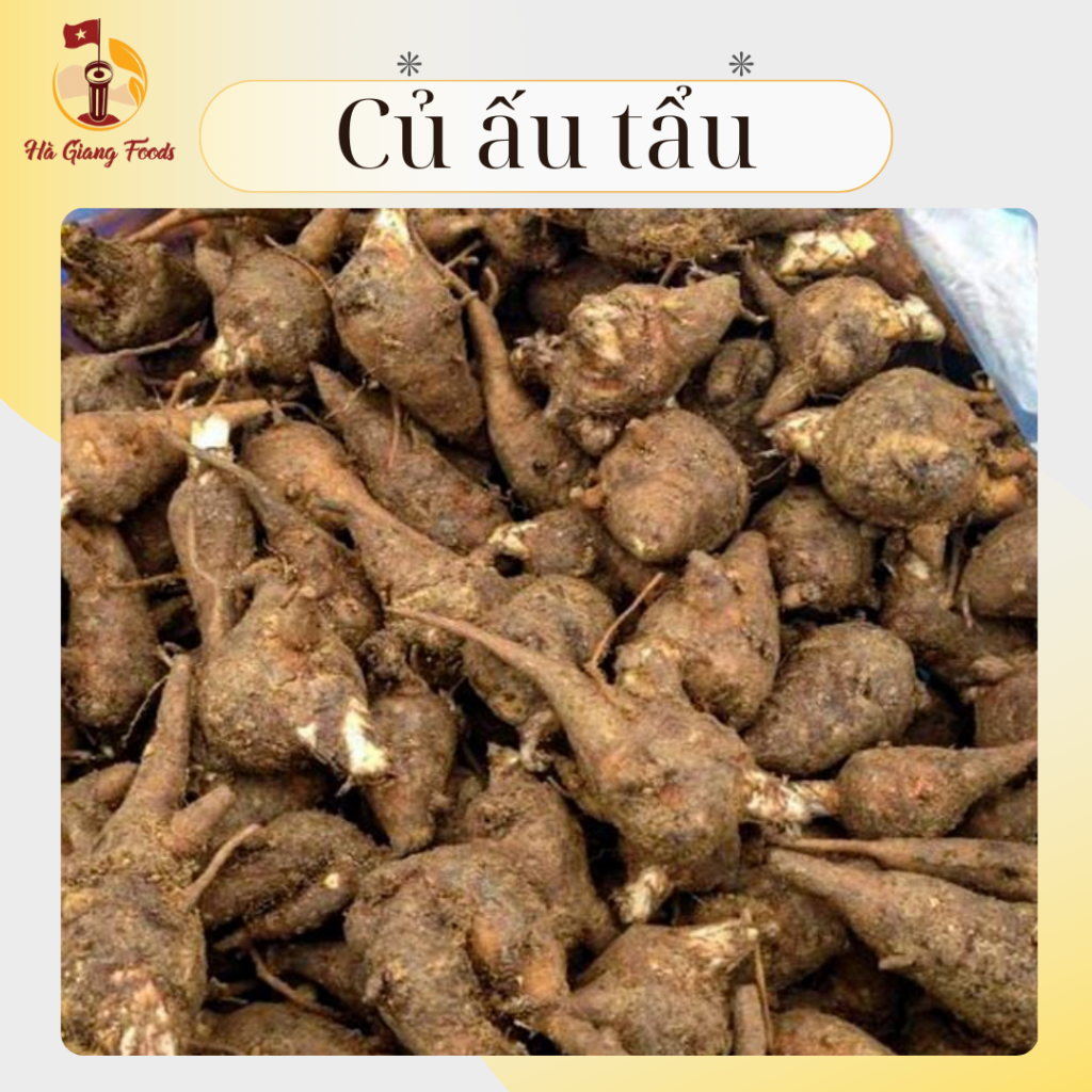 Củ ấu tẩu