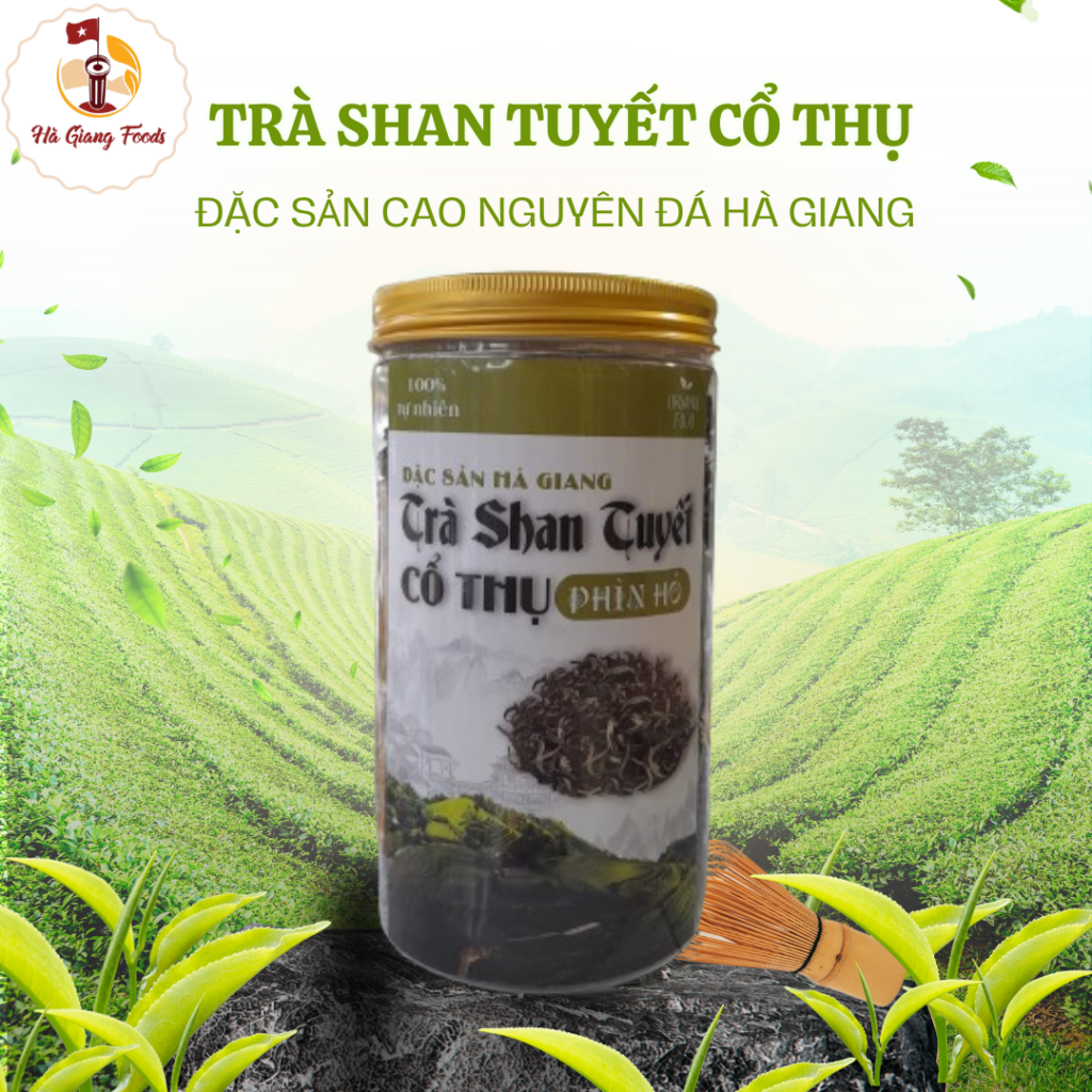 Shan Tuyết Cổ Thụ