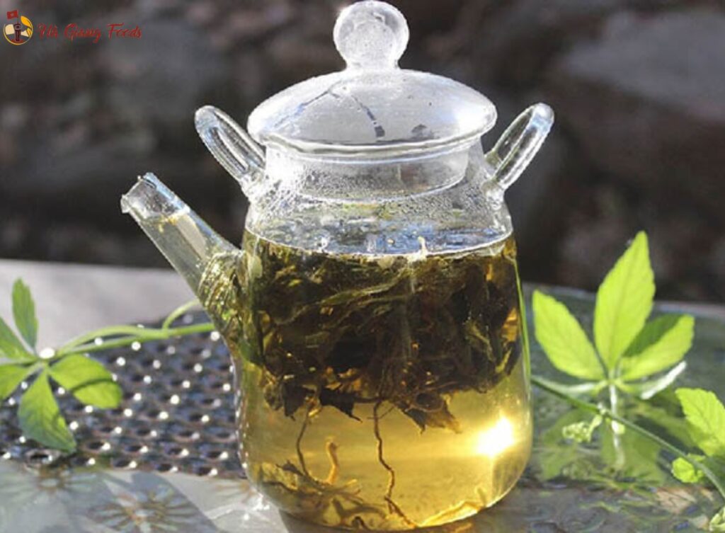Trà giảo cổ lam