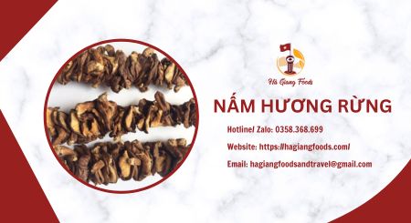 nấm hương rừng